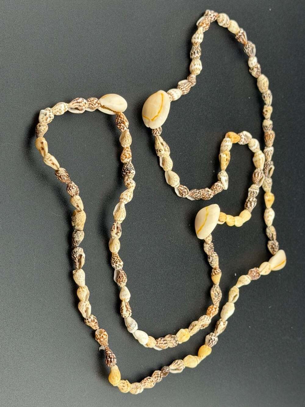 BOGO! - Vintage 37-inch Long Artisan Natural Seashell Cowrie Beaded Necklace
